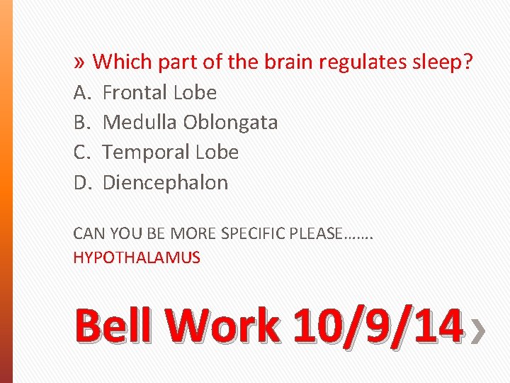 » Which part of the brain regulates sleep? A. Frontal Lobe B. Medulla Oblongata