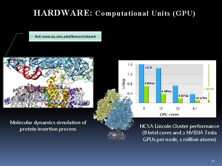 HARDWARE: Computational Units (GPU) Ref: www. ks. uiuc. edu/Research/namd Molecular dynamics simulation of protein HARDWARE: Computational Units (GPU) Ref: www. ks. uiuc. edu/Research/namd Molecular dynamics simulation of protein