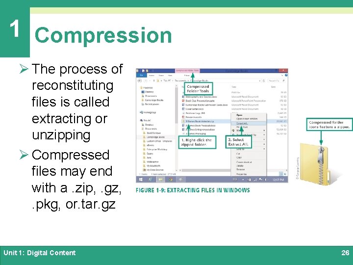 1 Compression Ø The process of reconstituting files is called extracting or unzipping Ø