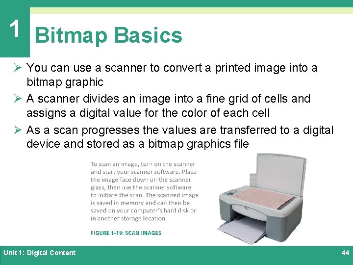 1 Bitmap Basics Ø You can use a scanner to convert a printed image