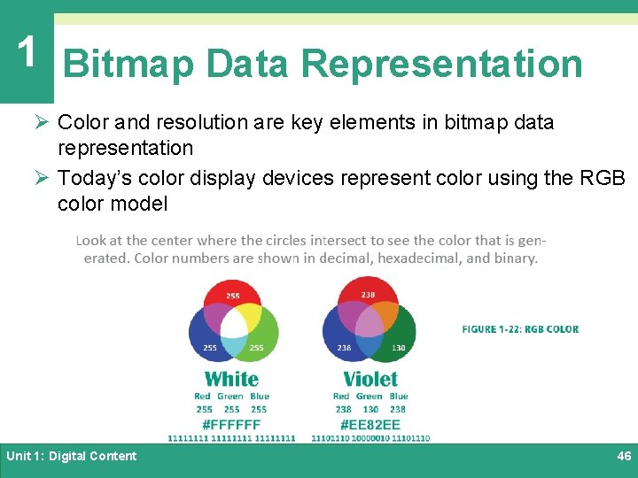 1 Bitmap Data Representation Ø Color and resolution are key elements in bitmap data