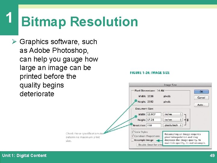 1 Bitmap Resolution Ø Graphics software, such as Adobe Photoshop, can help you gauge