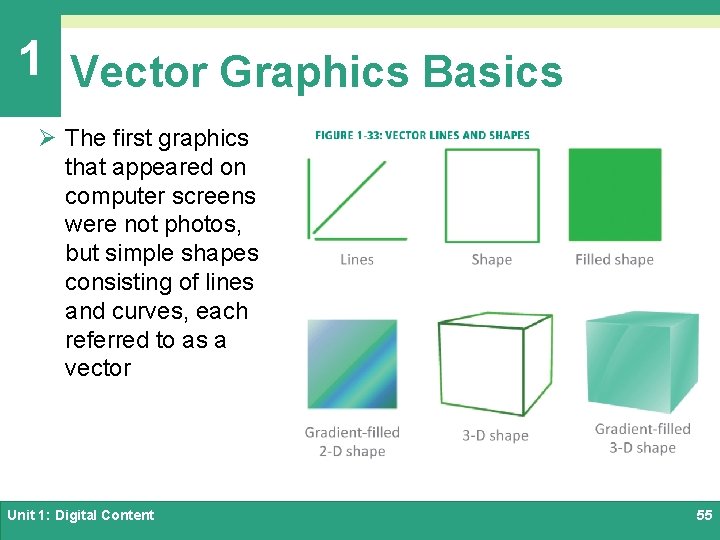 1 Vector Graphics Basics Ø The first graphics that appeared on computer screens were