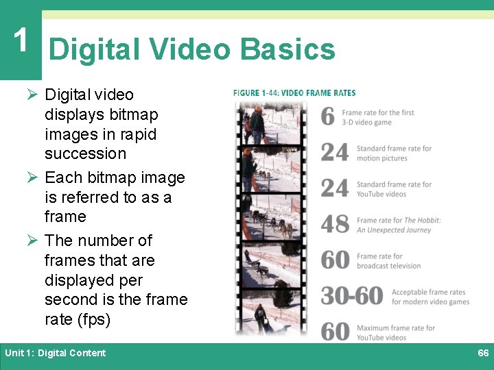 1 Digital Video Basics Ø Digital video displays bitmap images in rapid succession Ø