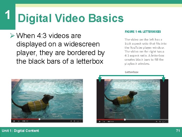 1 Digital Video Basics Ø When 4: 3 videos are displayed on a widescreen