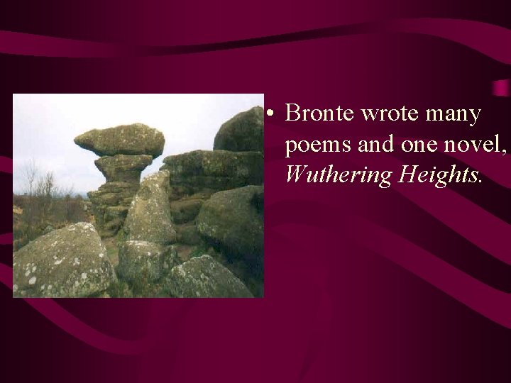  • Bronte wrote many poems and one novel, Wuthering Heights. 