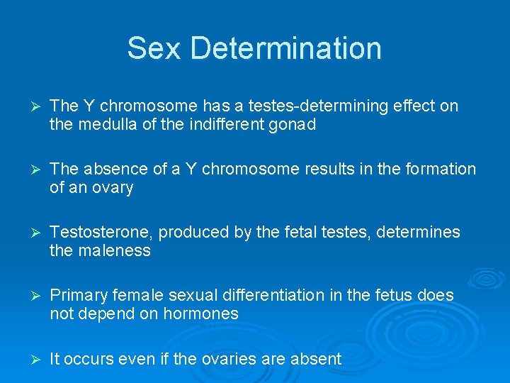 Sex Determination Ø The Y chromosome has a testes-determining effect on the medulla of