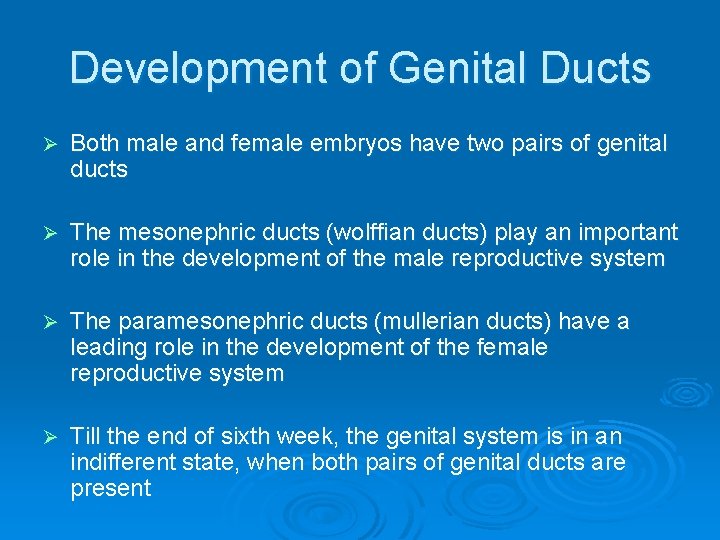 Development of Genital Ducts Ø Both male and female embryos have two pairs of