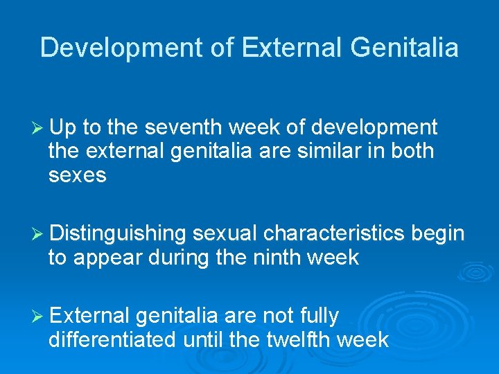 Development of External Genitalia Ø Up to the seventh week of development the external