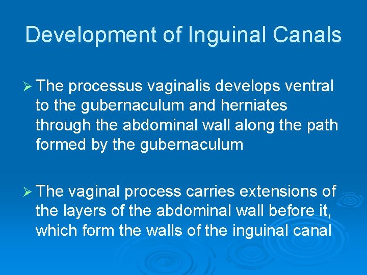 Development of Inguinal Canals Ø The processus vaginalis develops ventral to the gubernaculum and