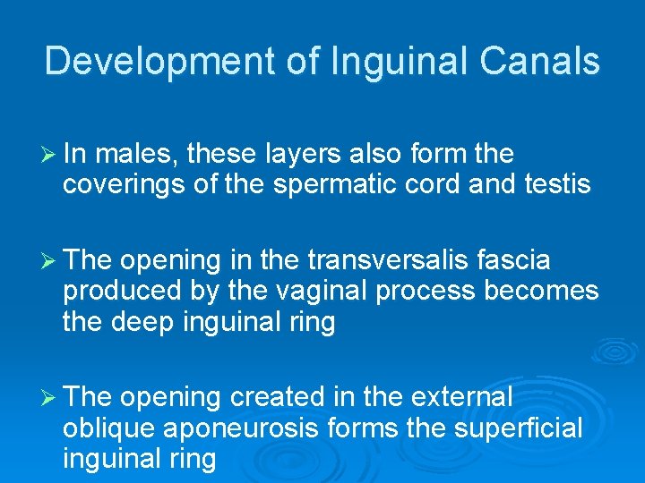 Development of Inguinal Canals Ø In males, these layers also form the coverings of