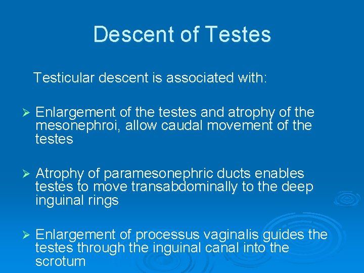 Descent of Testes Testicular descent is associated with: Ø Enlargement of the testes and