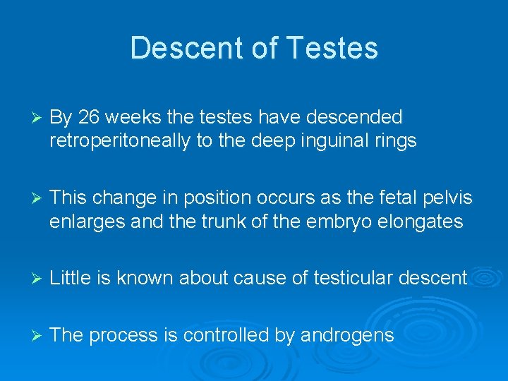 Descent of Testes Ø By 26 weeks the testes have descended retroperitoneally to the
