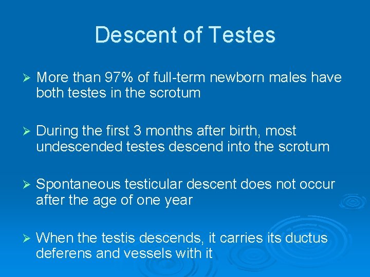 Descent of Testes Ø More than 97% of full-term newborn males have both testes