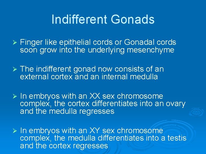 Indifferent Gonads Ø Finger like epithelial cords or Gonadal cords soon grow into the