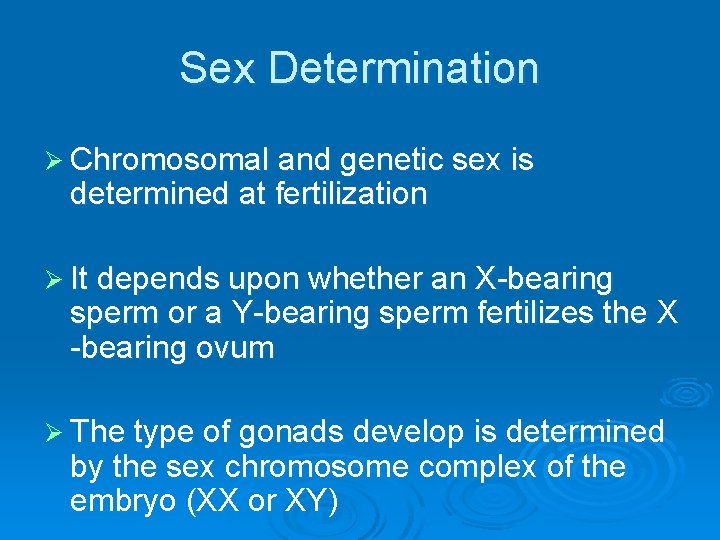 Sex Determination Ø Chromosomal and genetic sex is determined at fertilization Ø It depends
