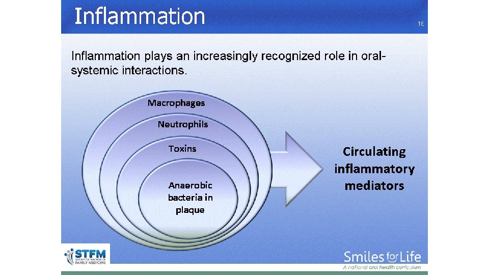 Inflammation 16 
