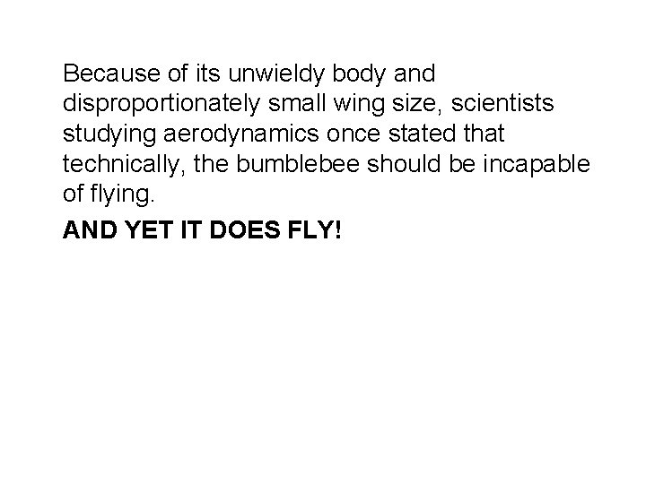 Because of its unwieldy body and disproportionately small wing size, scientists studying aerodynamics once