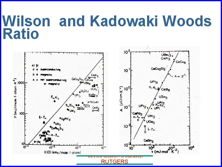 Wilson and Kadowaki Woods Ratio THE STATE UNIVERSITY OF NEW JERSEY RUTGERS 