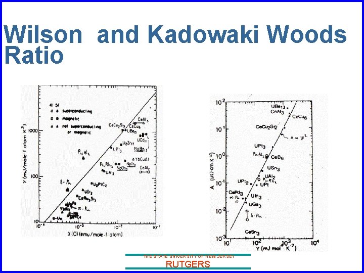 Wilson and Kadowaki Woods Ratio THE STATE UNIVERSITY OF NEW JERSEY RUTGERS 