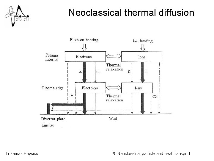Neoclassical thermal diffusion Tokamak Physics 6: Neoclassical particle and heat transport Neoclassical thermal diffusion Tokamak Physics 6: Neoclassical particle and heat transport