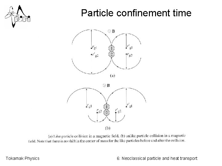 Particle confinement time Tokamak Physics 6: Neoclassical particle and heat transport 