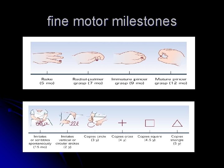 fine motor milestones fine motor milestones