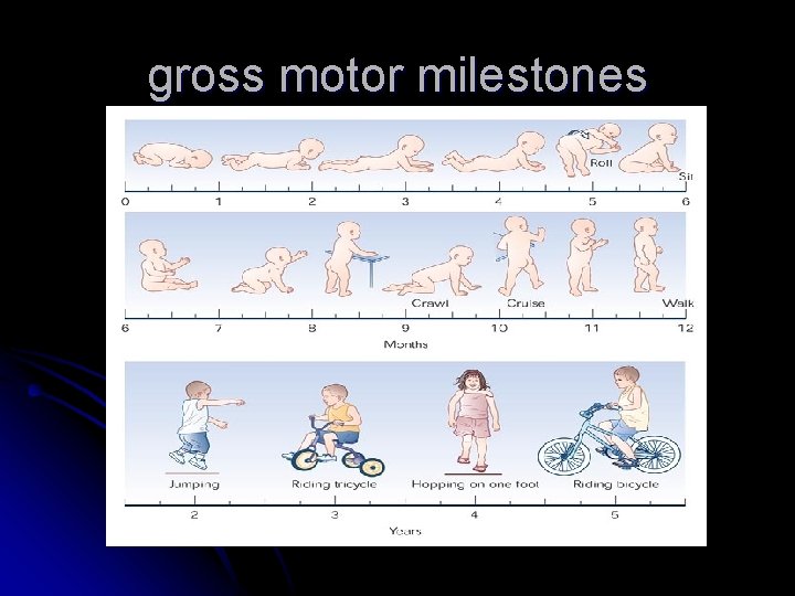 gross motor milestones gross motor milestones