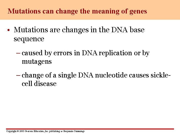 Mutations can change the meaning of genes • Mutations are changes in the DNA