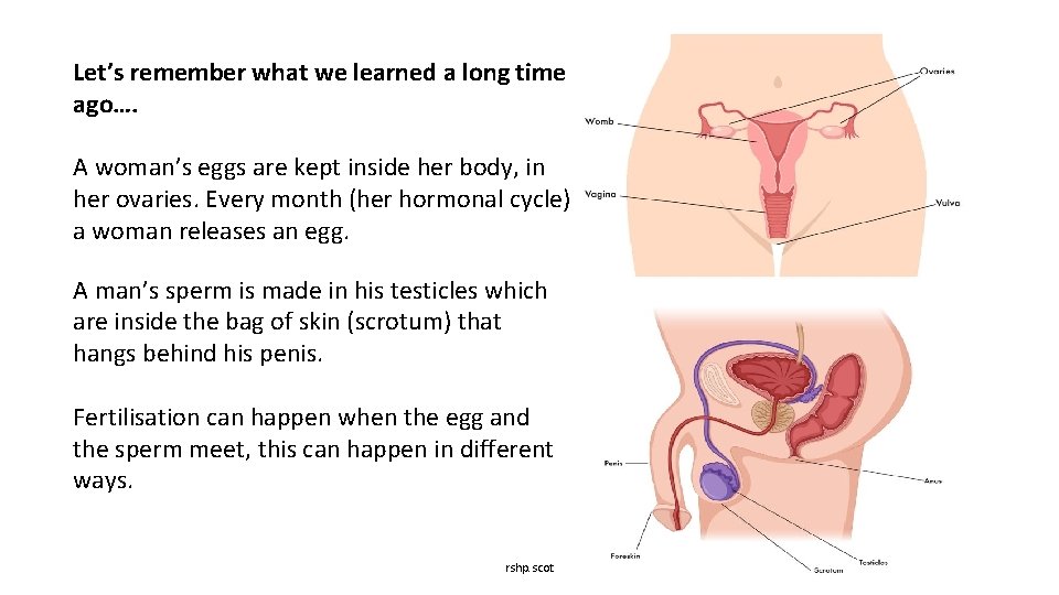 Let’s remember what we learned a long time ago…. A woman’s eggs are kept