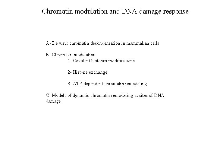 Chromatin modulation and DNA damage response A- De visu: chromatin decondensation in mammalian cells
