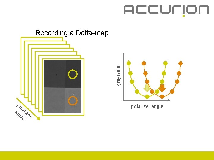 grayscale Recording a Delta-map po l an ariz gle er polarizer angle 