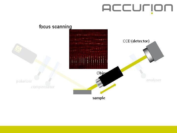 focus scanning CCD (detector) Objective analyser polarizer compensator sample 