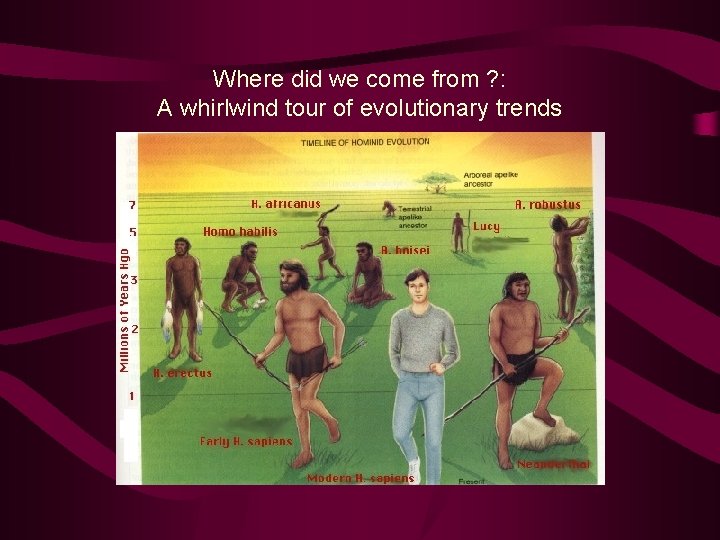 Where did we come from ? : A whirlwind tour of evolutionary trends 