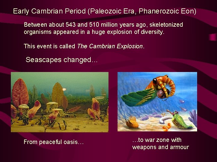 Early Cambrian Period (Paleozoic Era, Phanerozoic Eon) Between about 543 and 510 million years