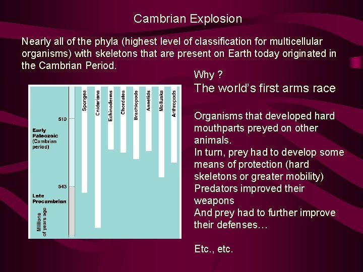 Cambrian Explosion Nearly all of the phyla (highest level of classification for multicellular organisms)