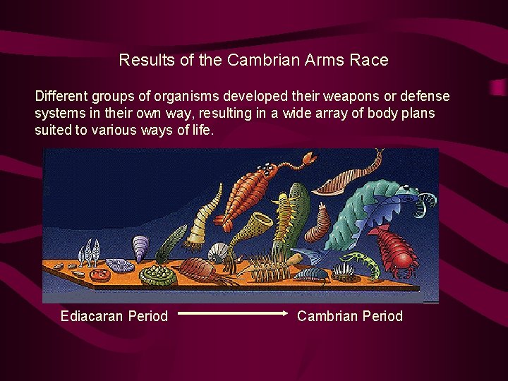 Results of the Cambrian Arms Race Different groups of organisms developed their weapons or