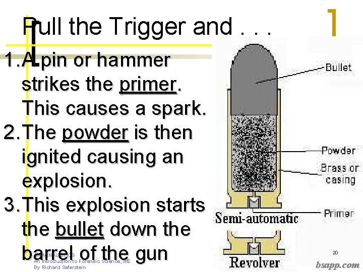 Pull the Trigger and. . . 1. A pin or hammer strikes the primer.