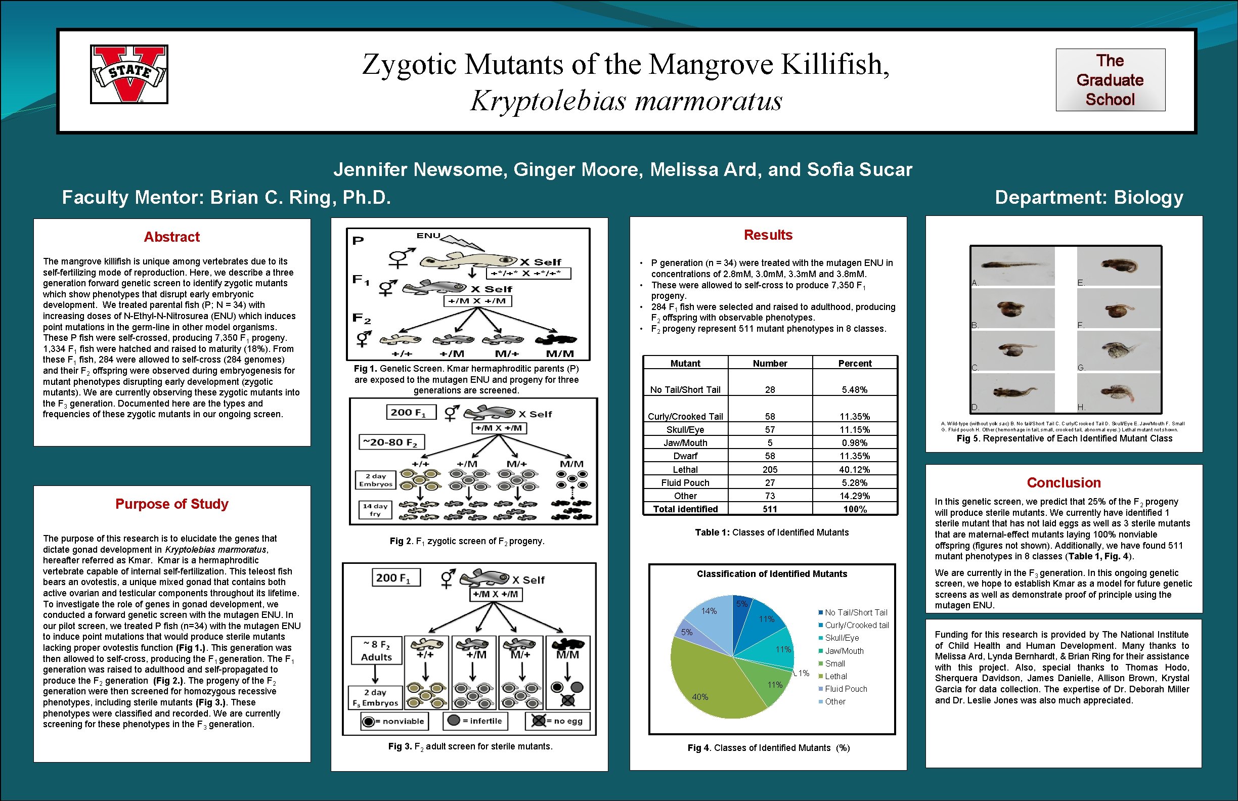 Zygotic Mutants of the Mangrove Killifish, Kryptolebias marmoratus The Graduate School Jennifer Newsome, Ginger