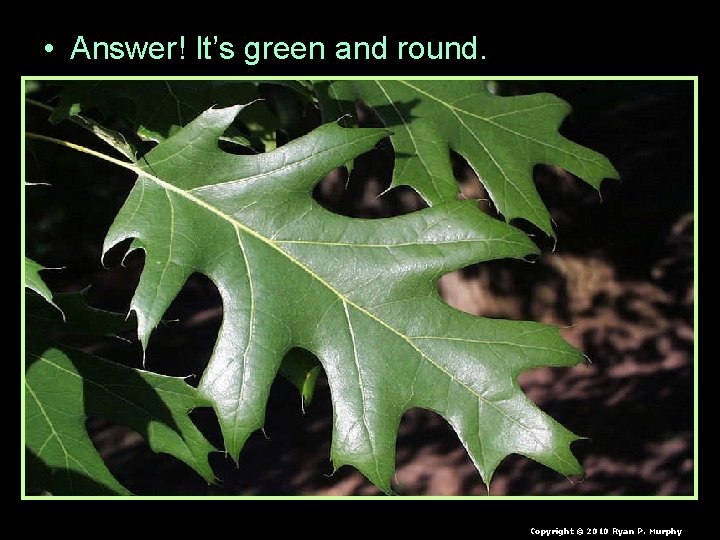 • Answer! It’s green and round. Copyright © 2010 Ryan P. Murphy • Answer! It’s green and round. Copyright © 2010 Ryan P. Murphy