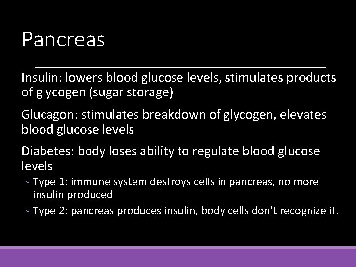 Pancreas Insulin: lowers blood glucose levels, stimulates products of glycogen (sugar storage) Glucagon: stimulates