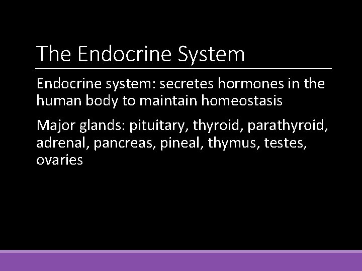 The Endocrine System Endocrine system: secretes hormones in the human body to maintain homeostasis