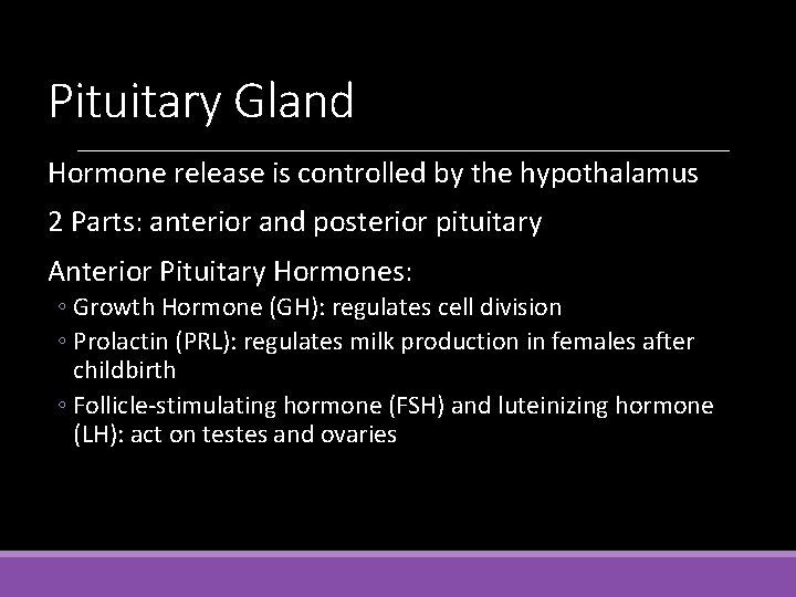 Pituitary Gland Hormone release is controlled by the hypothalamus 2 Parts: anterior and posterior