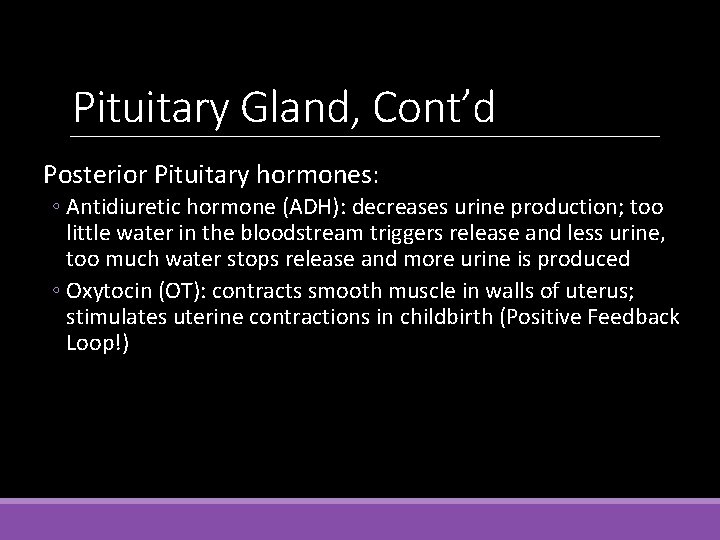 Pituitary Gland, Cont’d Posterior Pituitary hormones: ◦ Antidiuretic hormone (ADH): decreases urine production; too