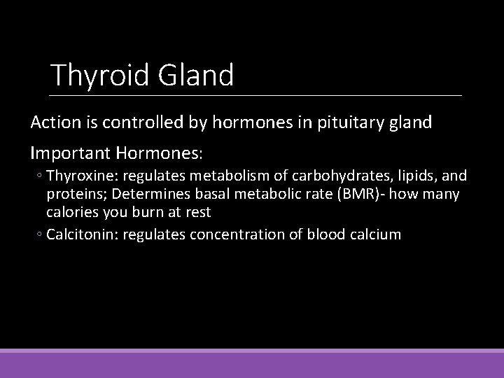 Thyroid Gland Action is controlled by hormones in pituitary gland Important Hormones: ◦ Thyroxine: