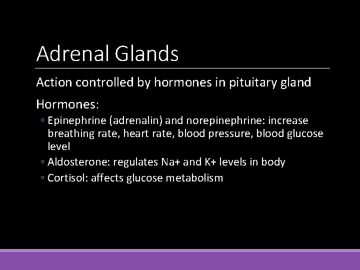 Adrenal Glands Action controlled by hormones in pituitary gland Hormones: ◦ Epinephrine (adrenalin) and