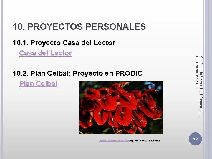 10. PROYECTOS PERSONALES 10. 2. Plan Ceibal: Proyecto en PRODIC Plan Ceibal www. fotocommunity.