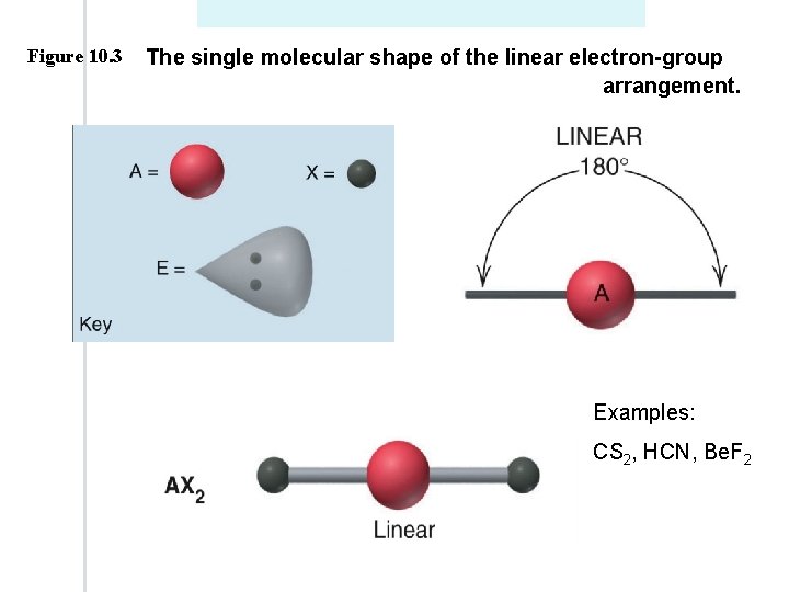 Figure 10. 3 The single molecular shape of the linear electron-group arrangement. Examples: CS Figure 10. 3 The single molecular shape of the linear electron-group arrangement. Examples: CS