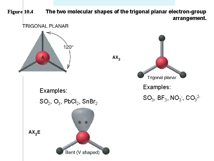Figure 10. 4 The two molecular shapes of the trigonal planar electron-group arrangement. Examples: Figure 10. 4 The two molecular shapes of the trigonal planar electron-group arrangement. Examples: