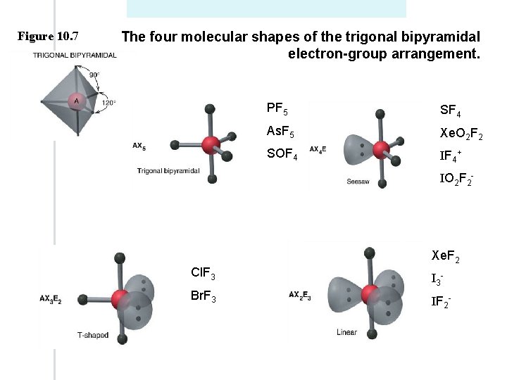 Figure 10. 7 The four molecular shapes of the trigonal bipyramidal electron-group arrangement. PF Figure 10. 7 The four molecular shapes of the trigonal bipyramidal electron-group arrangement. PF